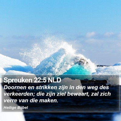 Spreuken 22:5 NLD Bible Verse Image