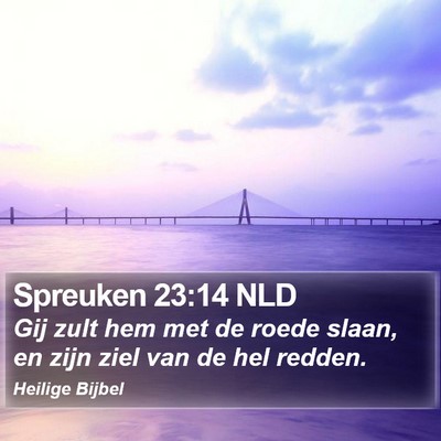 Spreuken 23:14 NLD Bible Verse Image