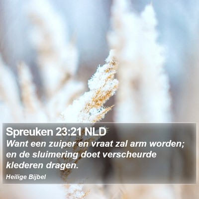 Spreuken 23:21 NLD Bible Verse Image