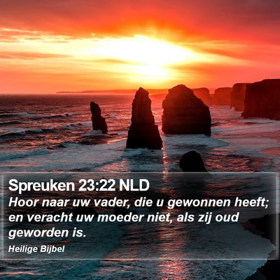 Spreuken 23:22 NLD Bible Verse Image