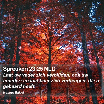 Spreuken 23:25 NLD Bible Verse Image