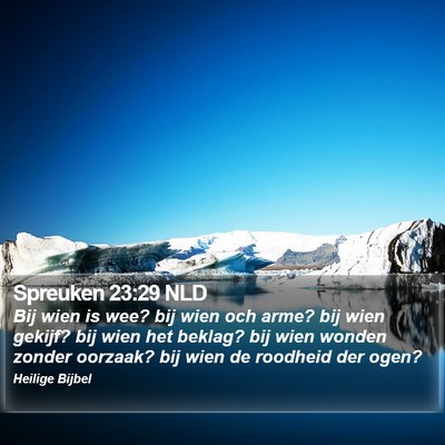 Spreuken 23:29 NLD Bible Verse Image