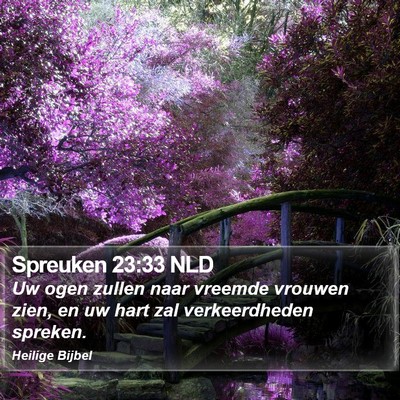 Spreuken 23:33 NLD Bible Verse Image