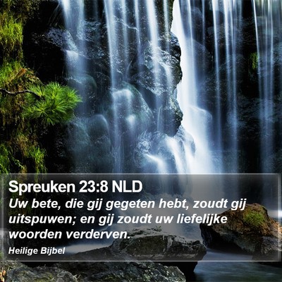 Spreuken 23:8 NLD Bible Verse Image