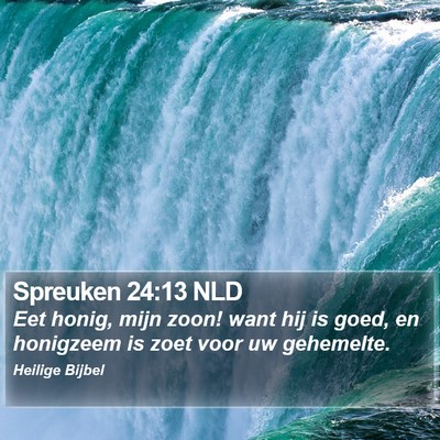 Spreuken 24:13 NLD Bible Verse Image