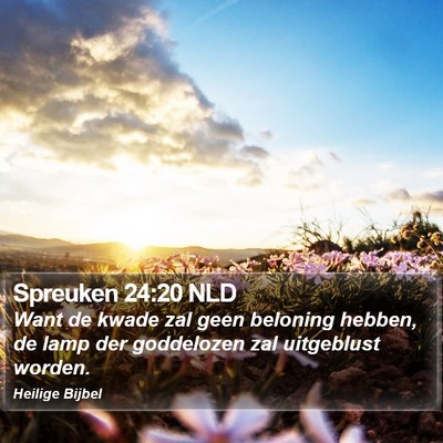 Spreuken 24:20 NLD Bible Verse Image
