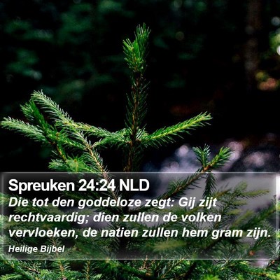 Spreuken 24:24 NLD Bible Verse Image
