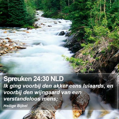 Spreuken 24:30 NLD Bible Verse Image