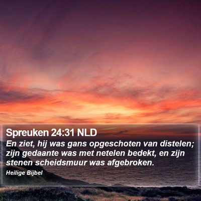 Spreuken 24:31 NLD Bible Verse Image