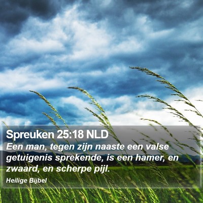 Spreuken 25:18 NLD Bible Verse Image