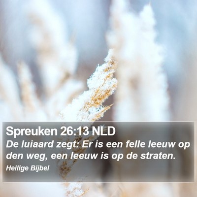 Spreuken 26:13 NLD Bible Verse Image