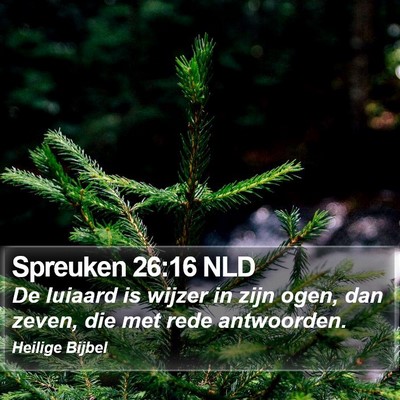 Spreuken 26:16 NLD Bible Verse Image