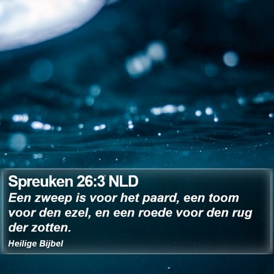 Spreuken 26:3 NLD Bible Verse Image