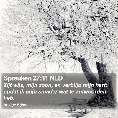 Spreuken 27:11 NLD Bible Verse Image