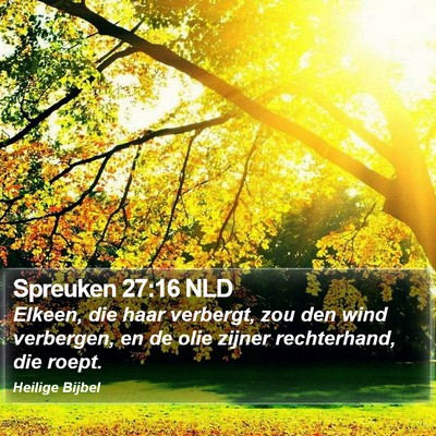 Spreuken 27:16 NLD Bible Verse Image