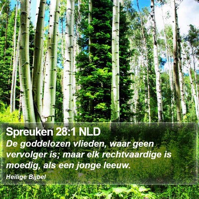 Spreuken 28:1 NLD Bible Verse Image