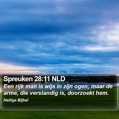 Spreuken 28:11 NLD Bible Verse Image