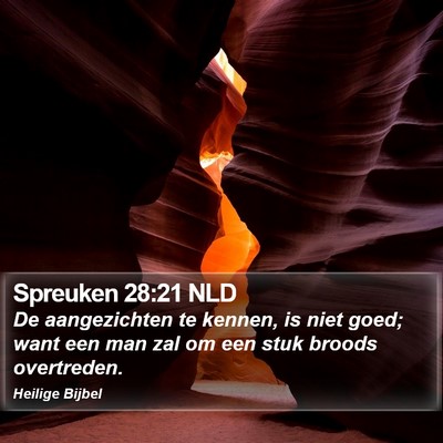 Spreuken 28:21 NLD Bible Verse Image
