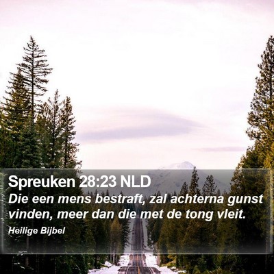 Spreuken 28:23 NLD Bible Verse Image