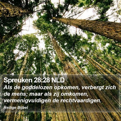 Spreuken 28:28 NLD Bible Verse Image