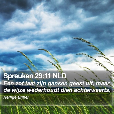 Spreuken 29:11 NLD Bible Verse Image