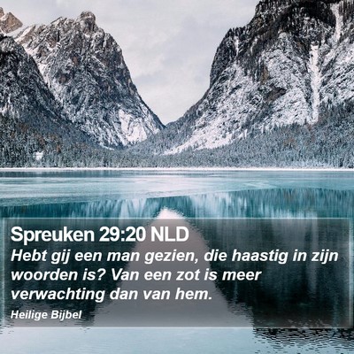 Spreuken 29:20 NLD Bible Verse Image