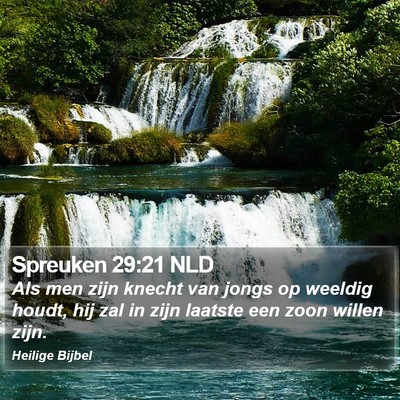 Spreuken 29:21 NLD Bible Verse Image