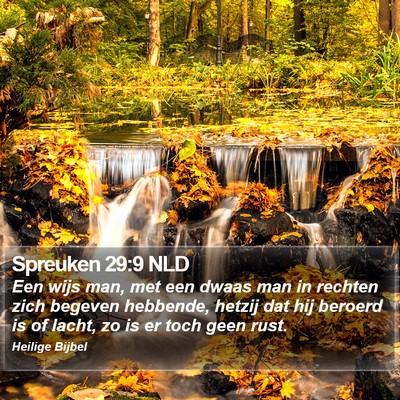 Spreuken 29:9 NLD Bible Verse Image