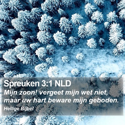 Spreuken 3:1 NLD Bible Verse Image