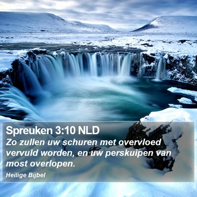 Spreuken 3:10 NLD Bible Verse Image