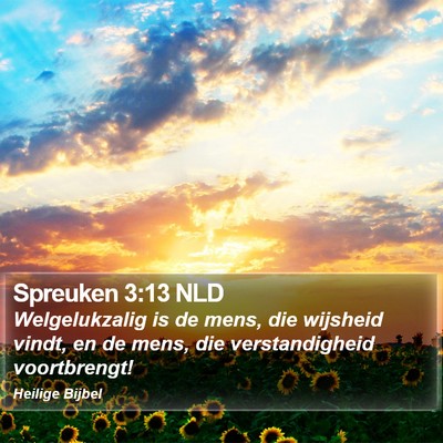 Spreuken 3:13 NLD Bible Verse Image