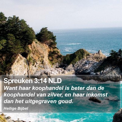 Spreuken 3:14 NLD Bible Verse Image