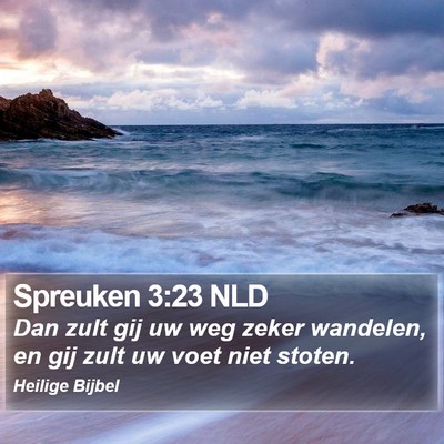 Spreuken 3:23 NLD Bible Verse Image
