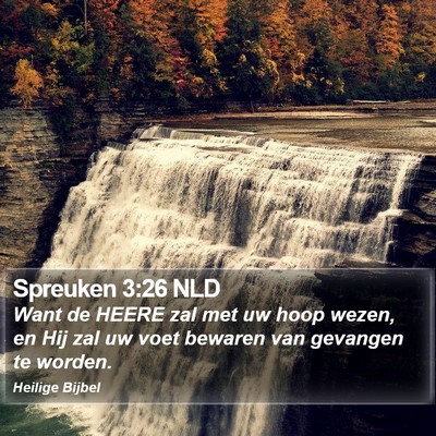 Spreuken 3:26 NLD Bible Verse Image