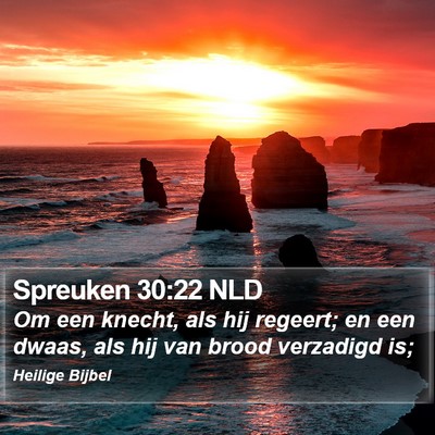 Spreuken 30:22 NLD Bible Verse Image