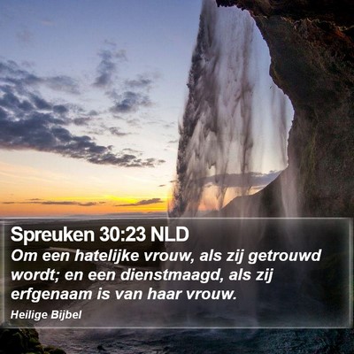 Spreuken 30:23 NLD Bible Verse Image