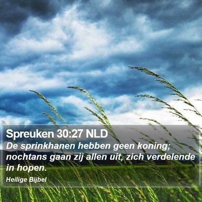 Spreuken 30:27 NLD Bible Verse Image
