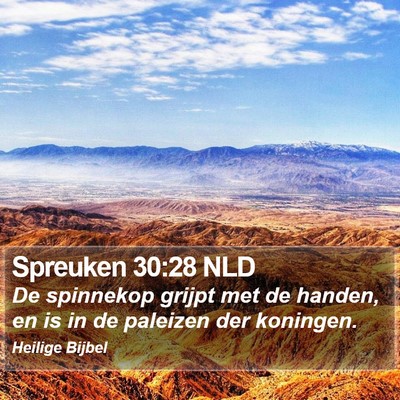 Spreuken 30:28 NLD Bible Verse Image