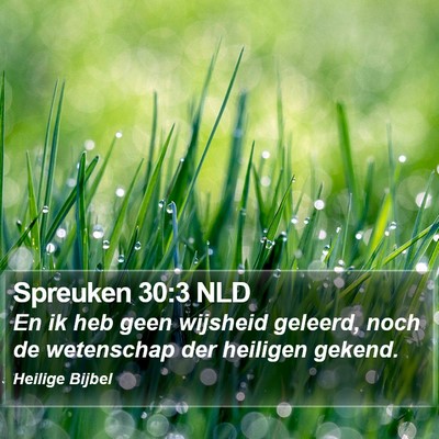 Spreuken 30:3 NLD Bible Verse Image
