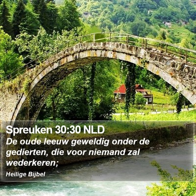 Spreuken 30:30 NLD Bible Verse Image
