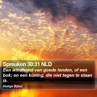 Spreuken 30:31 NLD Bible Verse Image