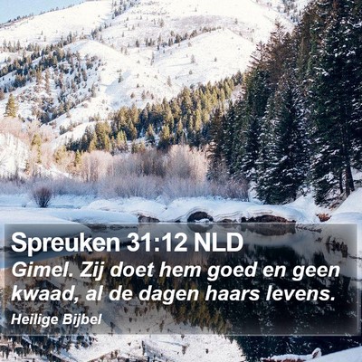 Spreuken 31:12 NLD Bible Verse Image