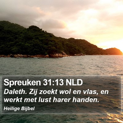 Spreuken 31:13 NLD Bible Verse Image