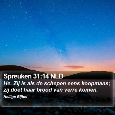 Spreuken 31:14 NLD Bible Verse Image