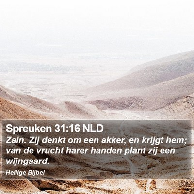 Spreuken 31:16 NLD Bible Verse Image