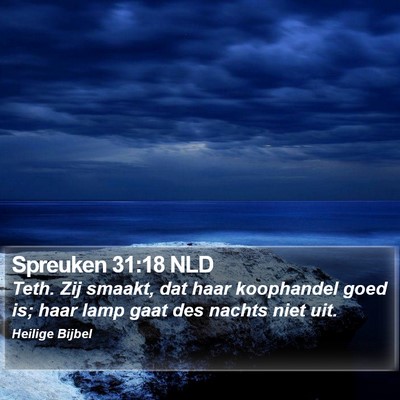 Spreuken 31:18 NLD Bible Verse Image