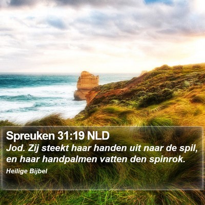 Spreuken 31:19 NLD Bible Verse Image