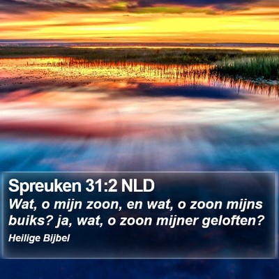 Spreuken 31:2 NLD Bible Verse Image