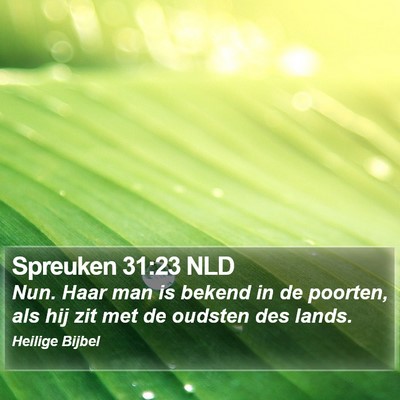 Spreuken 31:23 NLD Bible Verse Image