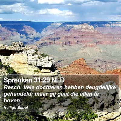 Spreuken 31:29 NLD Bible Verse Image